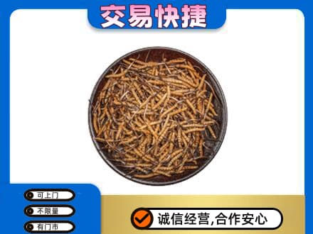 南阳桐柏县礼品回收虫草.jpg